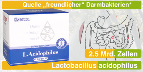 L_Acidophilus für ein gesundes Gleichgewicht im Darm