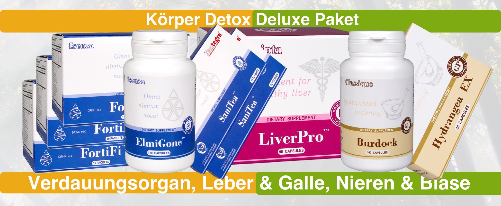 Santegra Detox Deluxe Paket - Santegra-Infothek original Kur