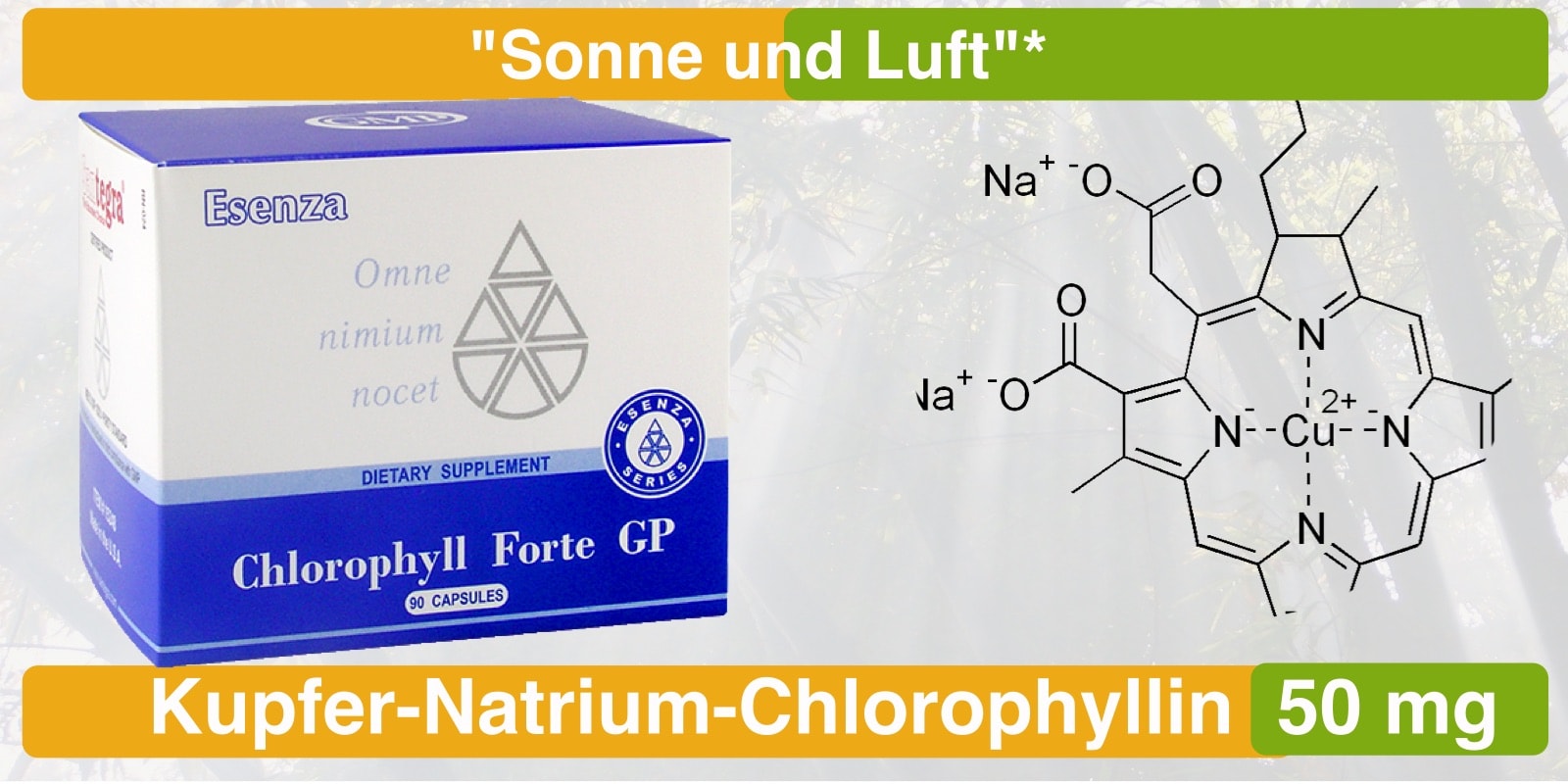Баривит форте. Хлорофилл Сантегра. Chlorophyll Forte GP. Хлорофилл в капсулах сантегро.
